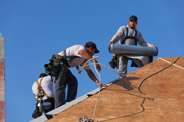 Best Roof Maintenance Services  in West Perrine, FL