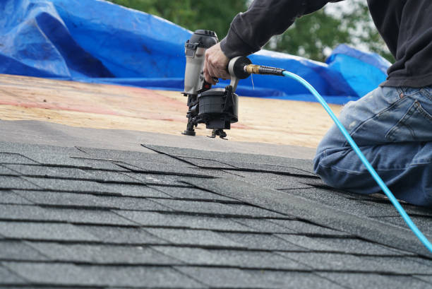 Best Shingle Roofing Installation  in West Perrine, FL
